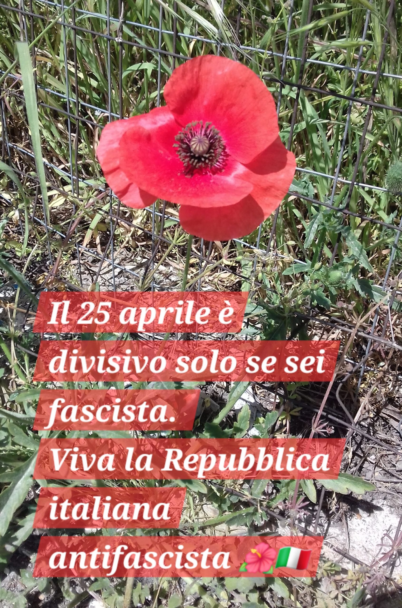 Resistenza oggi